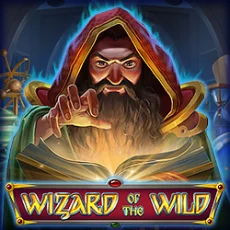 Wizard of the Wild Game у Vegas Casino